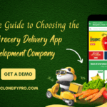 A Complete Guide to Choosing the Best Grocery Delivery App Development Company